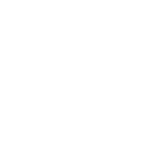 Explorer Eyes
