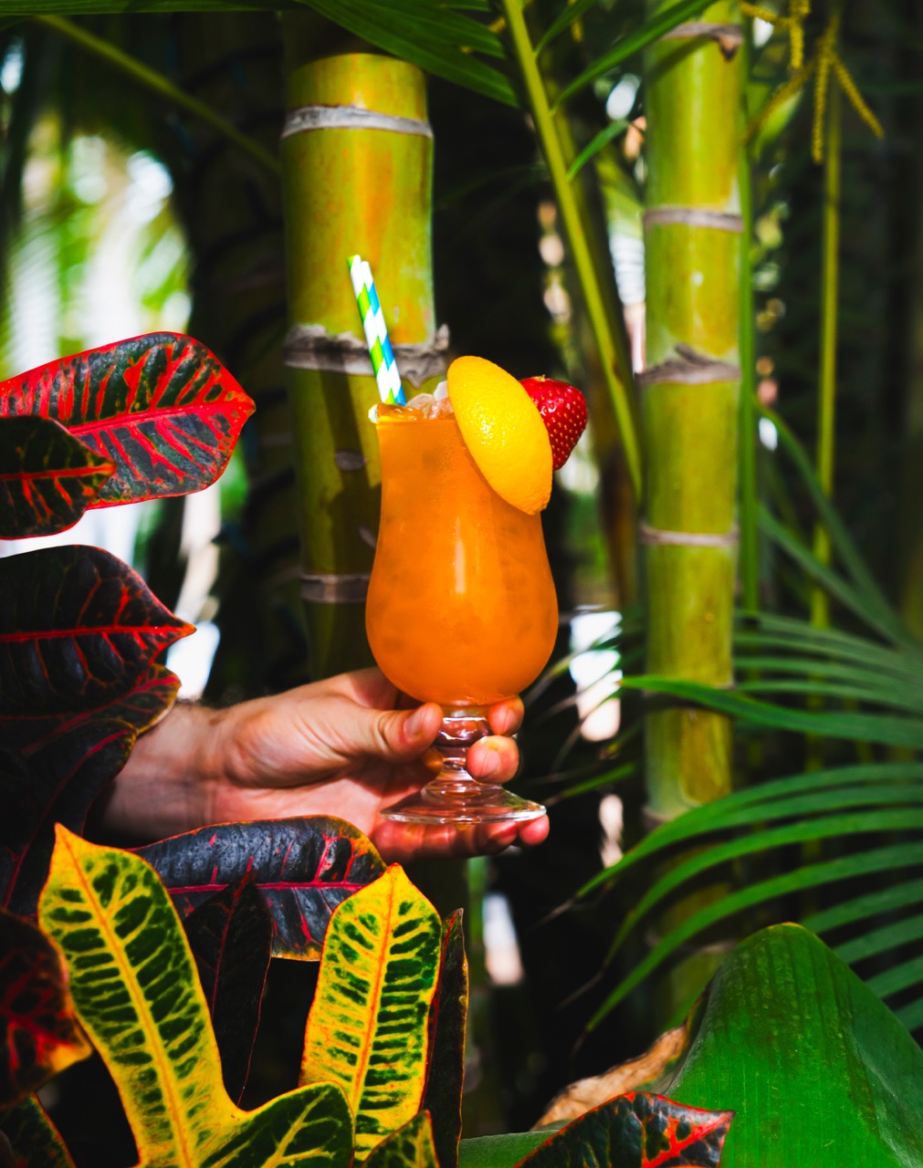 First-Stay-22-en-tamano-grande